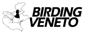 birdingVeneto.jpg