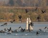 Cormorano_pesca_San_Giuliano_7_11_2007_+0287sf_