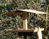 Codibugnolo_Favaro_25_12_2008_+++1020025sf_