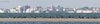Beccaccia_di_mare_Sacca_di_Goro_21_4_2012_+++^3810sf
