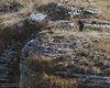 Picchio_muraiolo_volo_Malga_Lessinia_28_11_2015_++4346sf