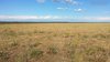 Paesaggio_Coussouls_de_Crau_19_6_2016_++++184309_Richtone(HDR)sf