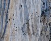 Paesaggio_Gracchio_corallino_Rondone_maggiore_Verdon_Francia_22_6_2016_++++5931sf
