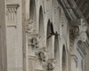 Rondone_pallido_volo_Venezia_25_7_2015_9397sf