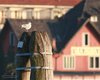 Gavina_americana_Venezia_14_3_2007_4055sf