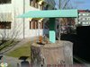Pettirosso_Favaro_26_12_2016_1387sf