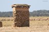 Grillaio_nidi_artificiali_Coussouls_De_Crau_20_6_2016_7736sf